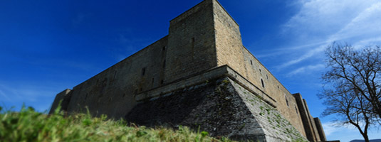 Lagopesole
